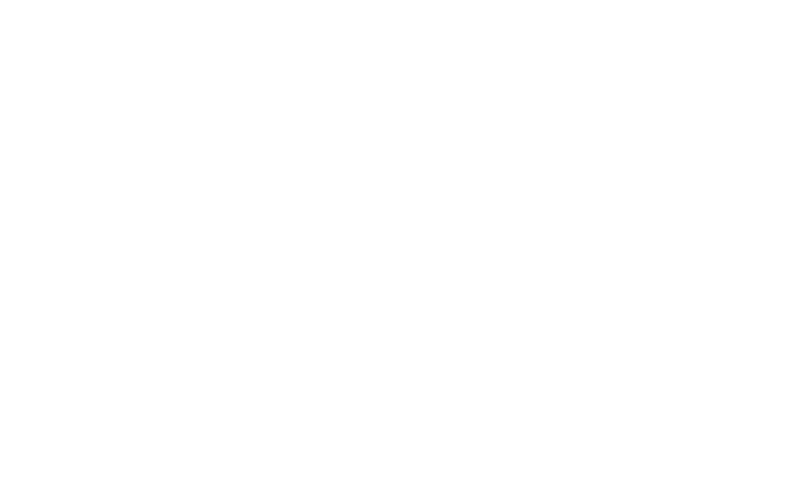 The boys in red hats